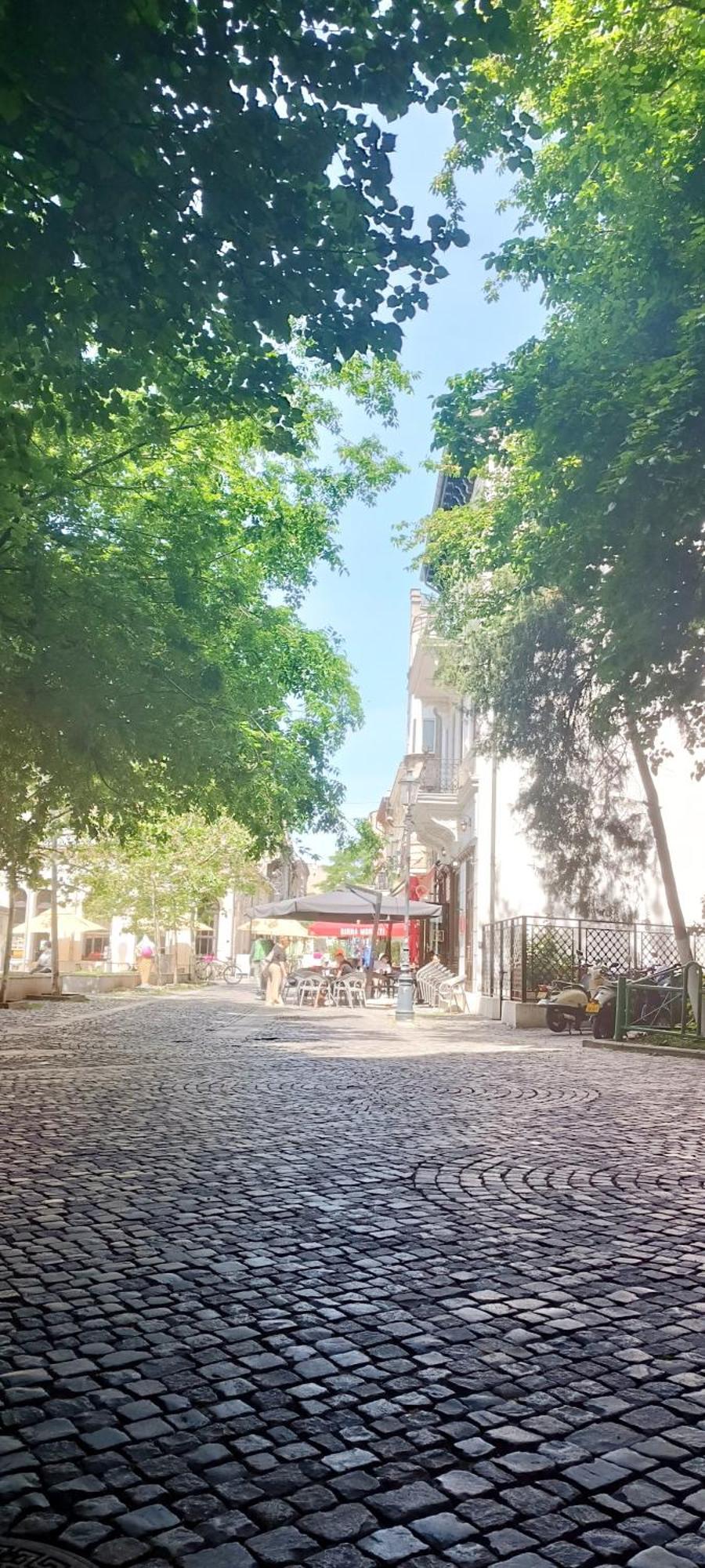 Old Town - Pet Friendly - Charming Escape