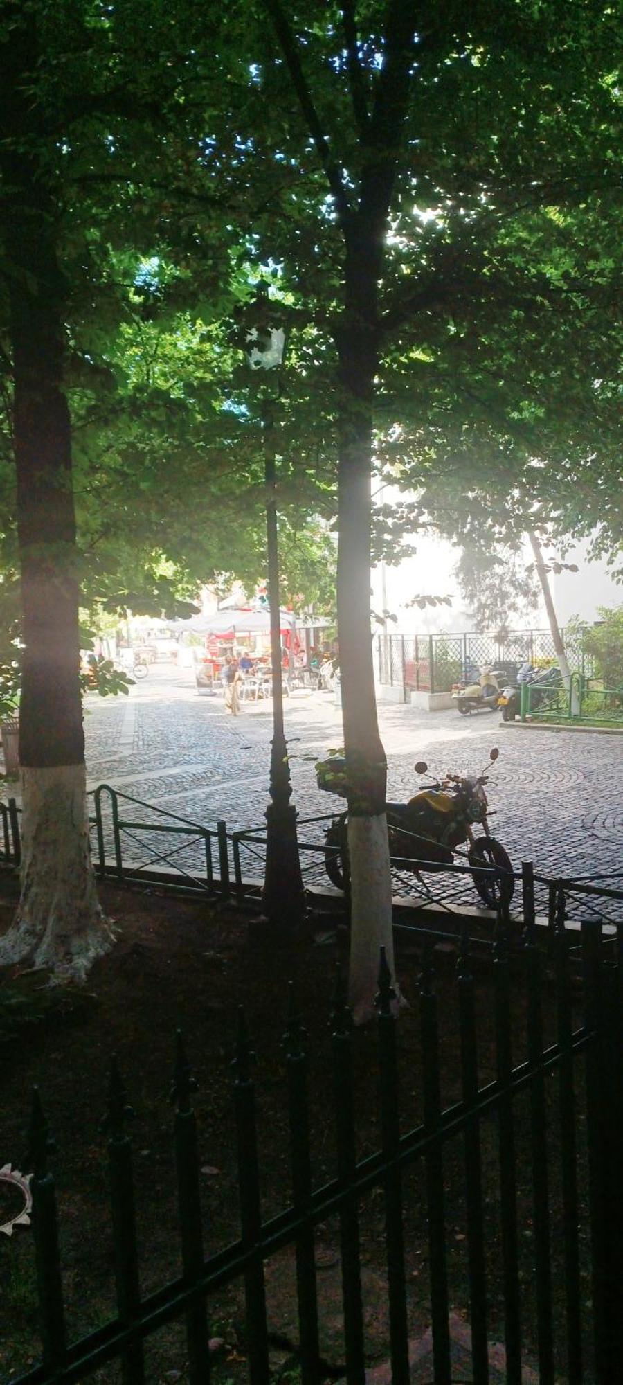 公寓 Old Town - Pet Friendly - Charming Escape 布加勒斯特